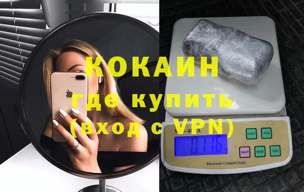 сатива Мегион