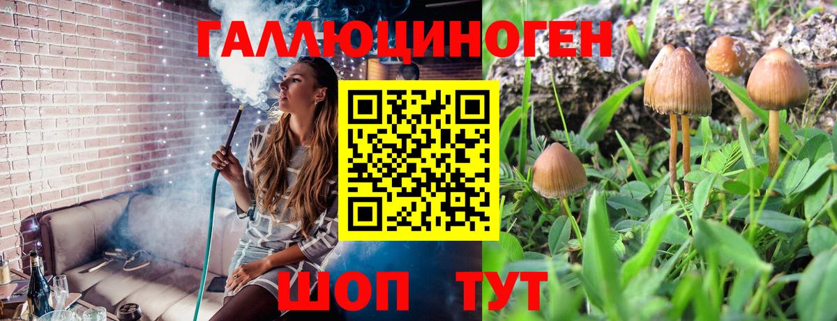 Псилоцибиновые грибы Psilocybe Симферополь