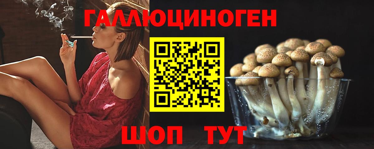 Галлюциногенные грибы GOLDEN TEACHER Симферополь