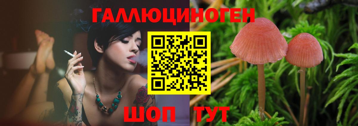 Псилоцибиновые грибы GOLDEN TEACHER  Галлюциногенные грибы прущие грибы  Симферополь 